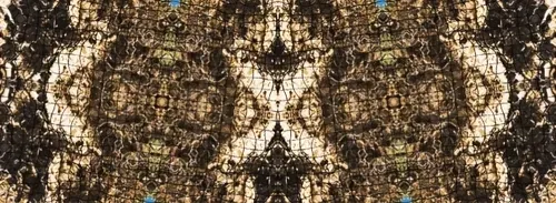 Item #229903202399770629281150266274287852530355796343641318577665268655241298920 Media