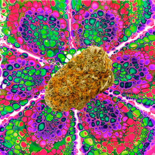 13955282856406335165414100891374623718709547313428947888299033959355346059274