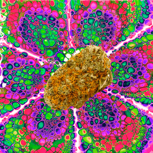 Item #13955282856406335165414100891374623718709547313428947888299033959355346059274 Media