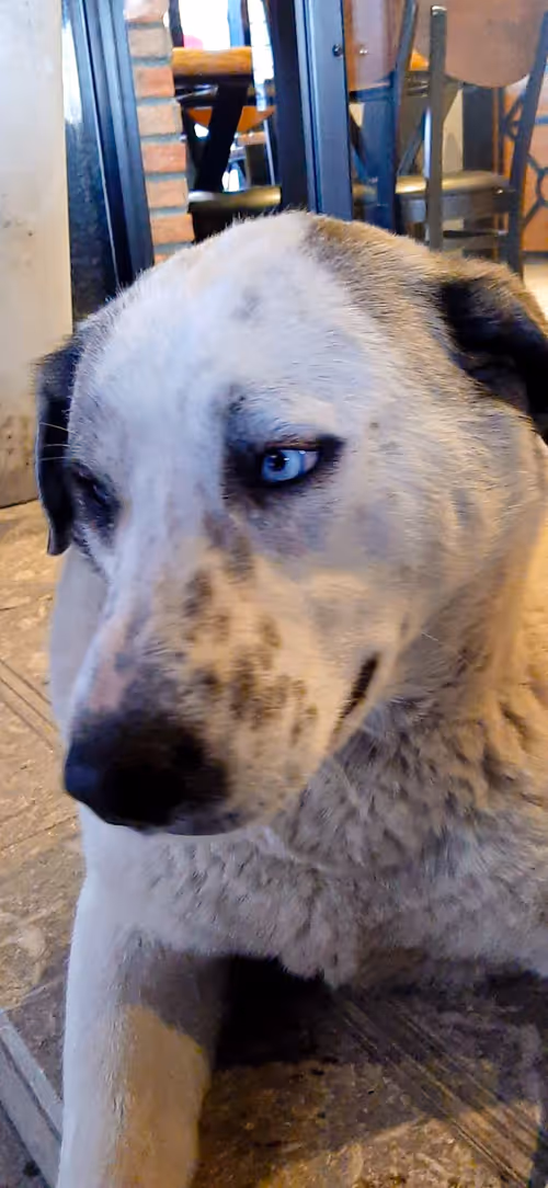 Item #107978139147131831661941634405889412338959910345453465515168770707584930807809 Media