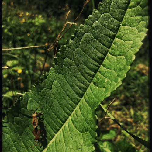 3787080761074609709675817509753112159059746763483256848434353740315338211329