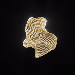 83535453821146316306178013320250520096293247508023240542449518815476333936641