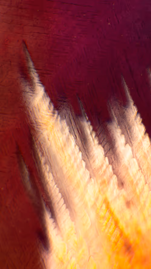 Item #11248459499450087743120670419350516870464666210533379678021336320191984828417 Media