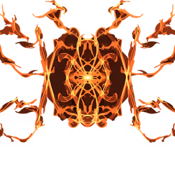 63211013100529833525454840660360054649628702037965273455681848608995191816193