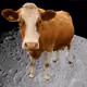 96672841291799409578723110189468843703468112947719872880126664281218149777409