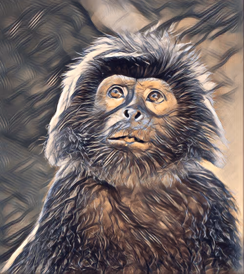 Item #54593652383459731767777383320415424164820202733853921615926635501332079837185 Media