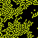 101701094206175850218338394222111736152098102952512760406699235755251308953601
