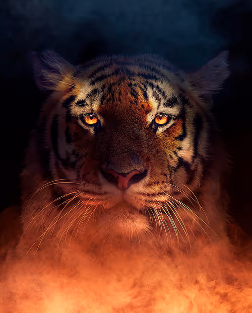 Item #113521178305738834012148518391550550346987699669126125358931063149109750792242 Media