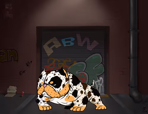 99947520248706494812773634078367873205673484717388873773815583139589498339329