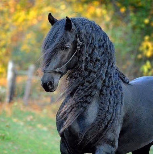 2468119463308914702005443652102614178506533567319377457804557022962663817217