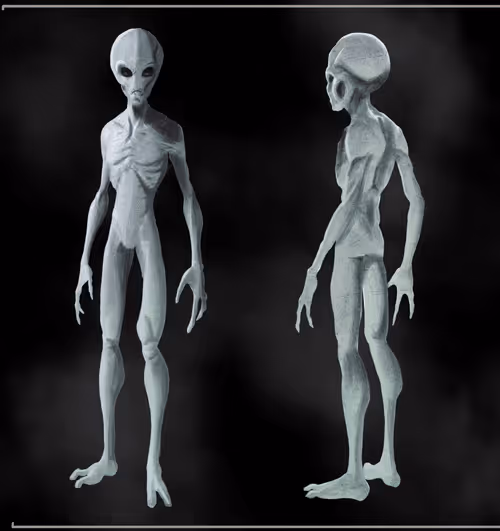 Item #77857013498944720190854790804710868687861916756572835242750704617180373188708 Media