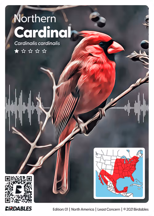 Item #26102390610025884852824728088708208703251930988161684574571712848389673582642 Media