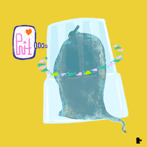 Item #45580298814766658719460104175011448478249070933082323896992243374633103917086 Media