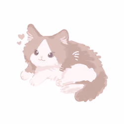 Kitten_1