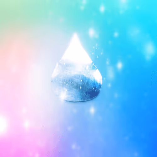 Untitled Collection #75023523