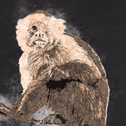 11276162529628641556553056529614973332754405277106184420845745660139405312001