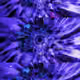 70443261768245442543628529642080780158928318927700638962925308566815316639745