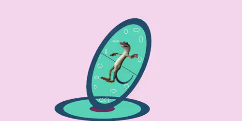 Item #83533924565478375256540621348068203140448736986529962336926819164369492901988 Media