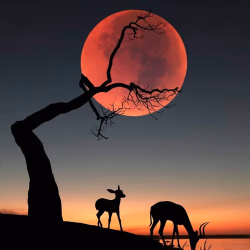 83462484926125179177933876272722647181473475967863052278931111143832004067329