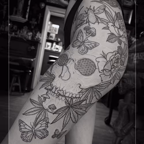 Item #54907278919550877720892668925121005936298673078090039125649049785922347859969 Media