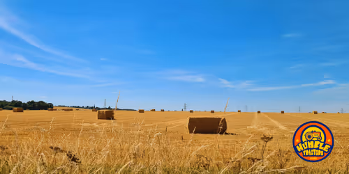 Item #35863194083128256797647772425284652682645032595179500226087347102129200300033 Media