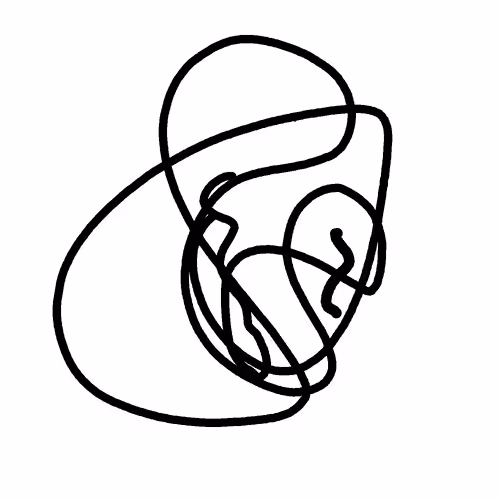 Untitled Collection #47053359