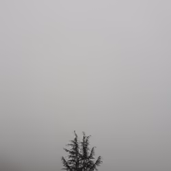 Sky NFT #37