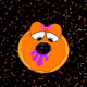 77486062344701224192854087003031155033779234006835280769570989233056365150209