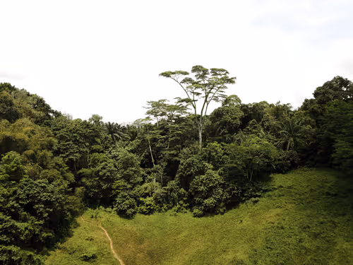 Item #42367402454926581942619760928835310535724341624545693814929607876990407278593 Media