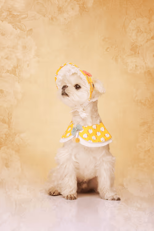 Item #8036610274517614856282005705215780499318604713549687172679363421409135034371 Media