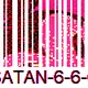 17739185450677169937716918088881032469875764511497450693785463682637307576321