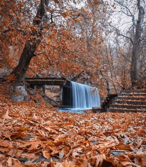 Item #56114376456071127857600424164689415620023799023345491191686521117290417618945 Media