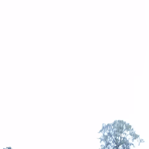 Untitled Collection #484056352