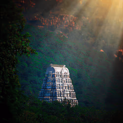 Item #96556919498889397774313393585935910974991317057561549819289360901067665047553 Media