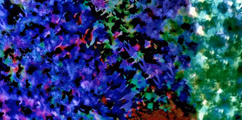 Item #100706026656513747344664184208717796747162792827229374051736404127843449044993 Media