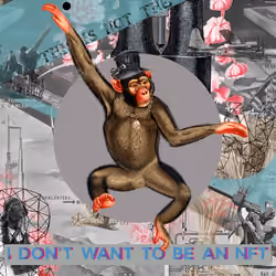 I don't want to be an NFT #50