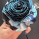 18330466997659802815143411569908671863766308837262328393878785568064835420161