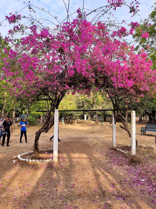 Item #86460548825896395183188707427462696963522650148758793724109723201060711956481 Media