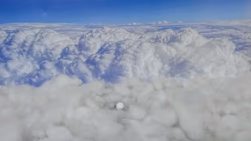 Item #32382354995311206636930955851818118108425029471473268411146207444734964662372 Media