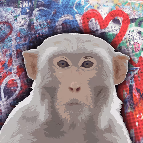 Item #103067360246068856029102275827311148072331324523879883651278741996692173750273 Media