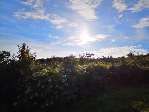 Untitled Collection #78610487