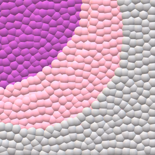 Item #75940703031127368577469179422049845828985604795844485044088244886118323978241 Media