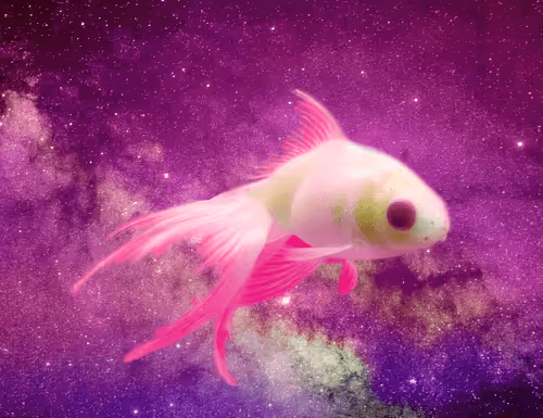 Item #64831065688873909434537665941137318682836571431209528516298654545066783145989 Media