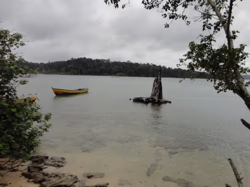 Item #114521557681587448164416414833705315608998654968609078692768572478540591661057 Media