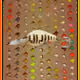 92232844381231561042436485319285829389206989793847864346278425421201262247937