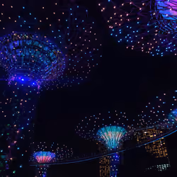 0113 / Singapur / Singapur.