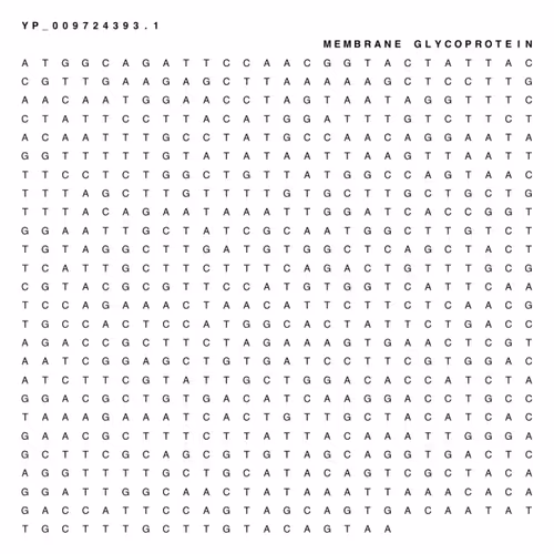 Item #65380618963620114885281271461439322618207565584775953371672302088913950867457 Media