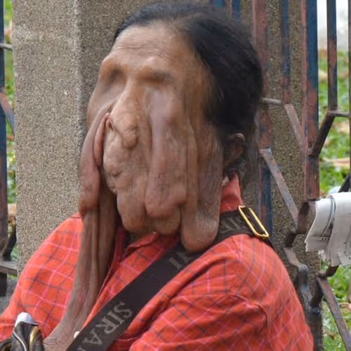 Untitled Collection #33768811