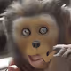 98771142752491223589029056332849600761606894318122094950927075236958764531713