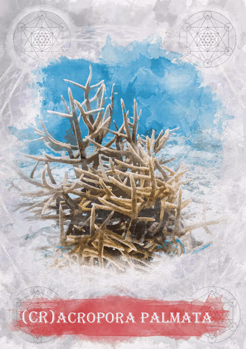 Item #108829080069432666427413762901192148077907568328307962474054884578241198161927 Media